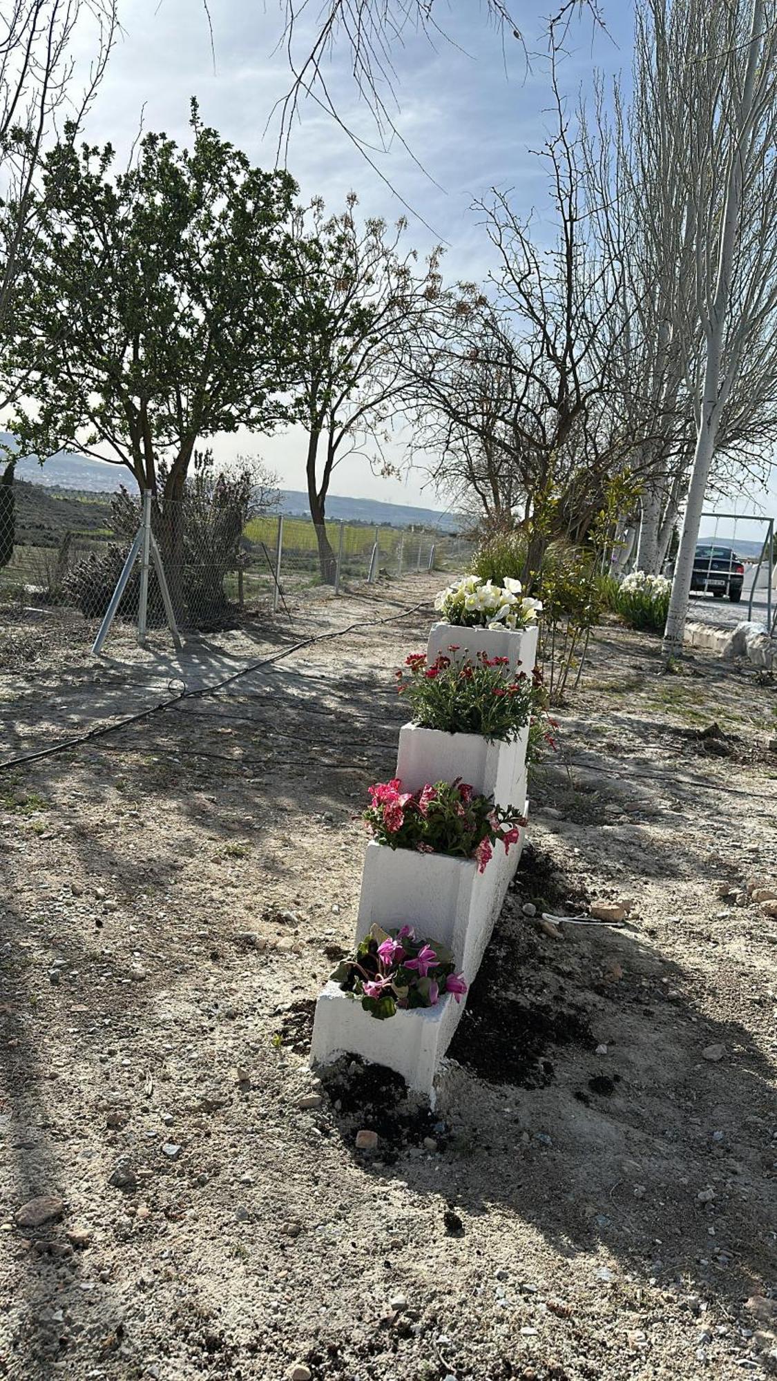 Alojamientos Cuevas Tiana El Aljibete Exterior foto