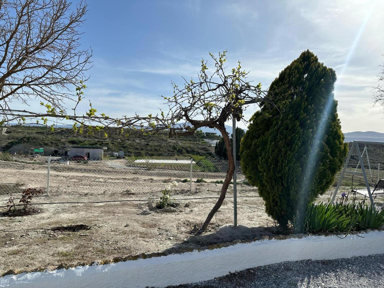 Alojamientos Cuevas Tiana El Aljibete Exterior foto